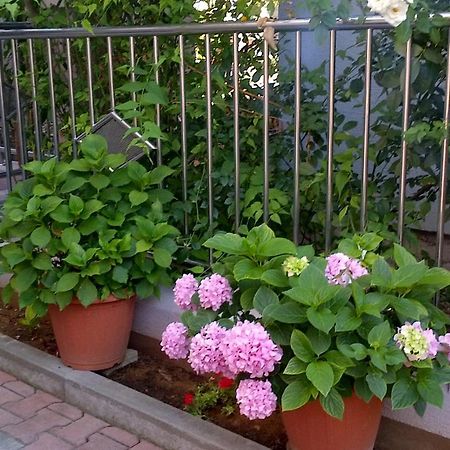 Apartments Strkalj Bibinje Dış mekan fotoğraf
