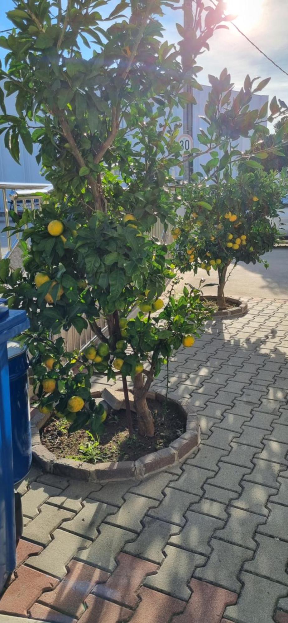 Apartments Strkalj Bibinje Dış mekan fotoğraf