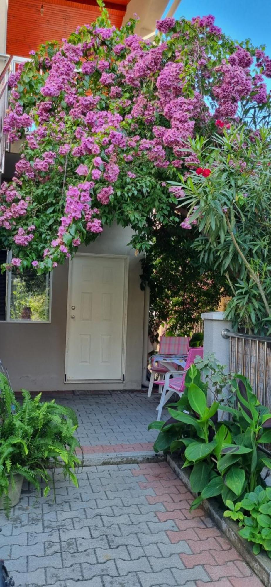 Apartments Strkalj Bibinje Dış mekan fotoğraf