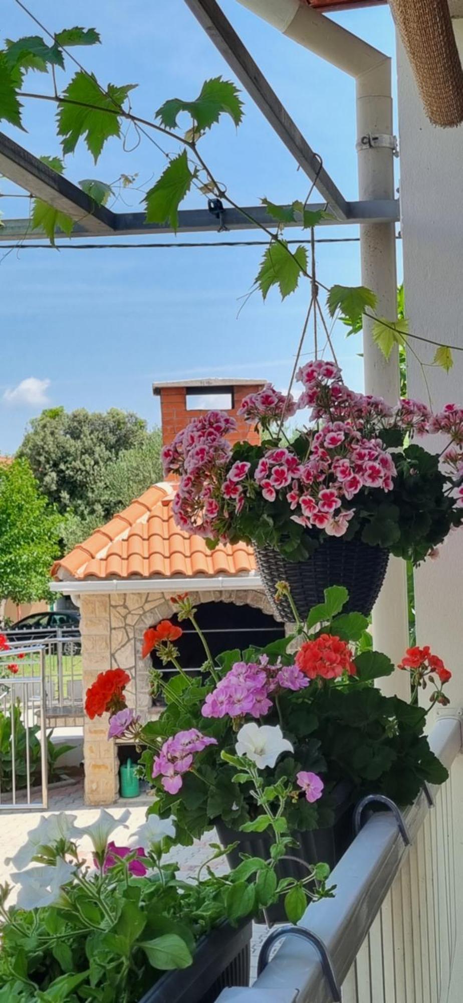 Apartments Strkalj Bibinje Dış mekan fotoğraf