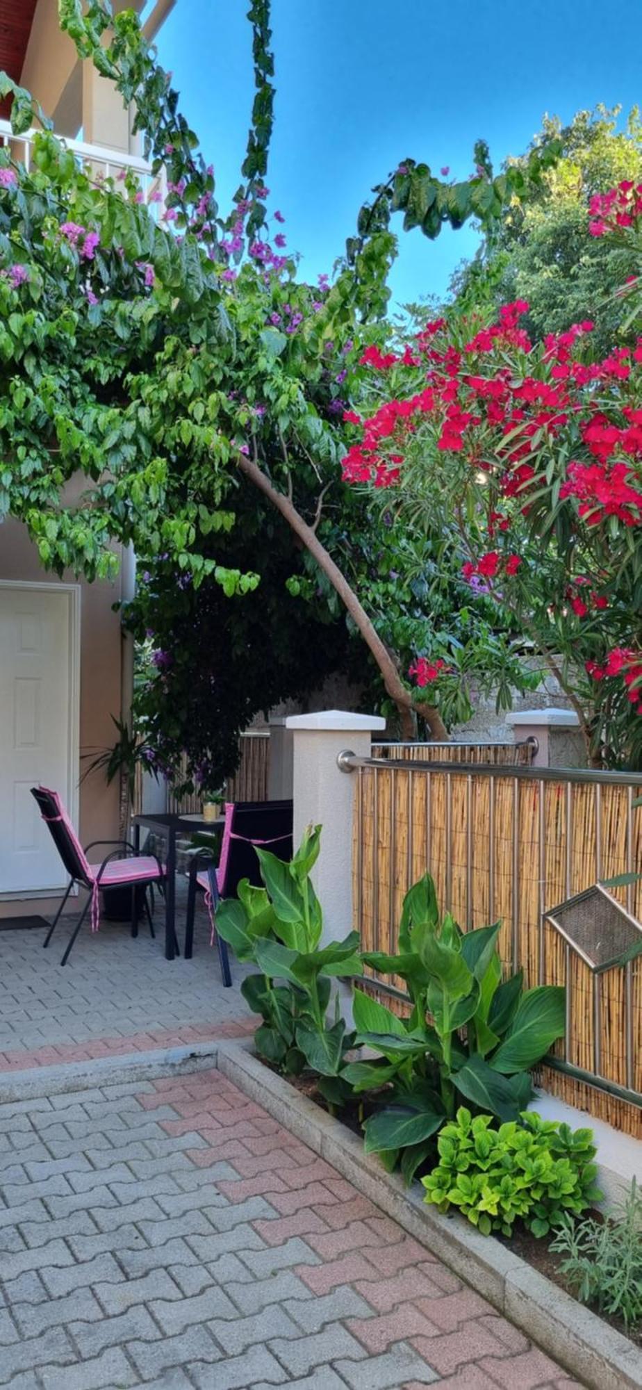 Apartments Strkalj Bibinje Dış mekan fotoğraf